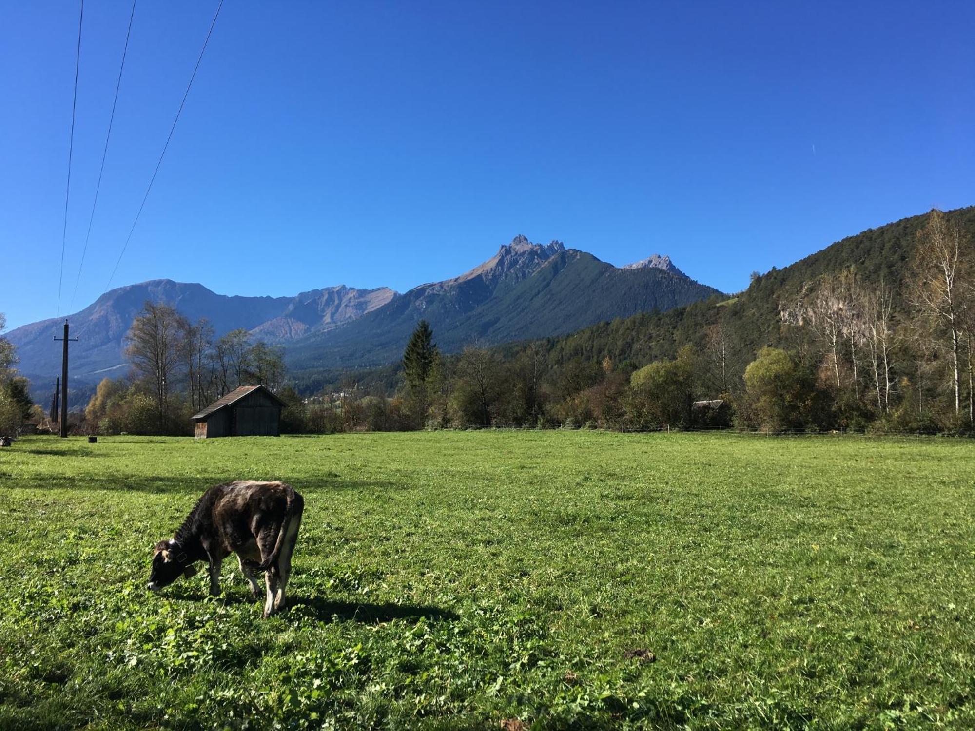 Haus Gamper-Haselwanter Appartement Tarrenz Buitenkant foto